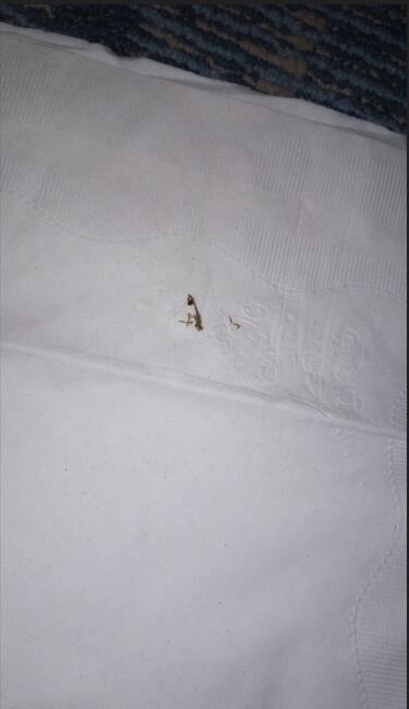耶马西南波恩特希尔顿恒庭酒店-客卧