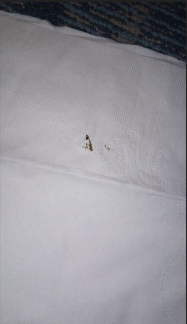 耶马西南波恩特希尔顿恒庭酒店主图