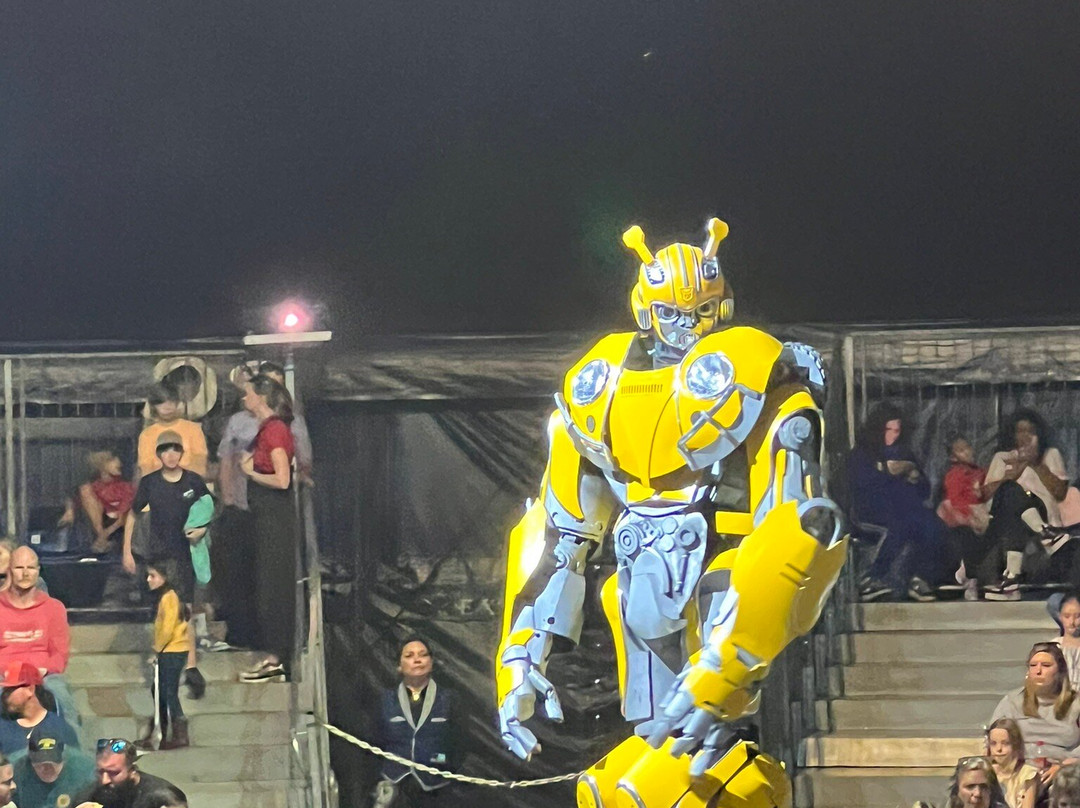 Cirque Italia-萨拉索塔必去景点