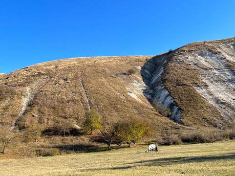 Trails&Tales Tours-基希讷乌必去景点
