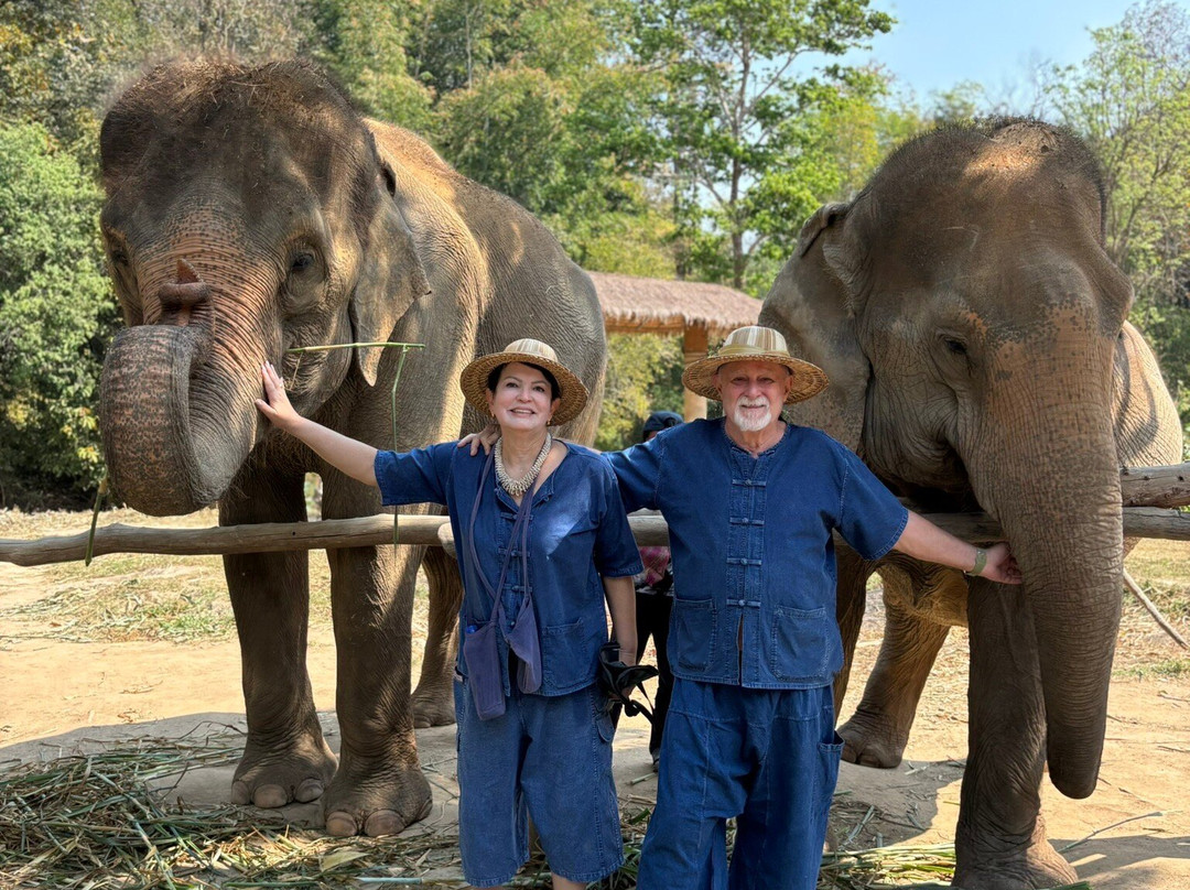 Thai Elephant Care Center-夜林必去景点