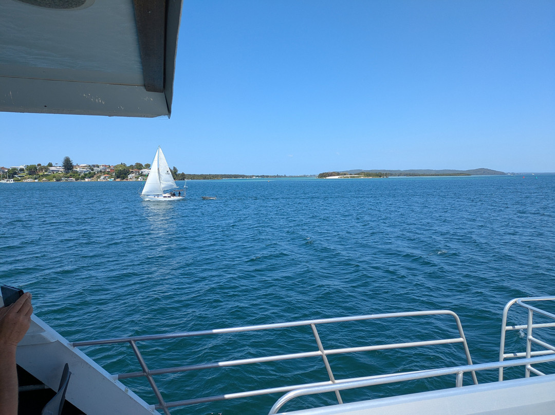 Lake Macquarie Cruises景点图片