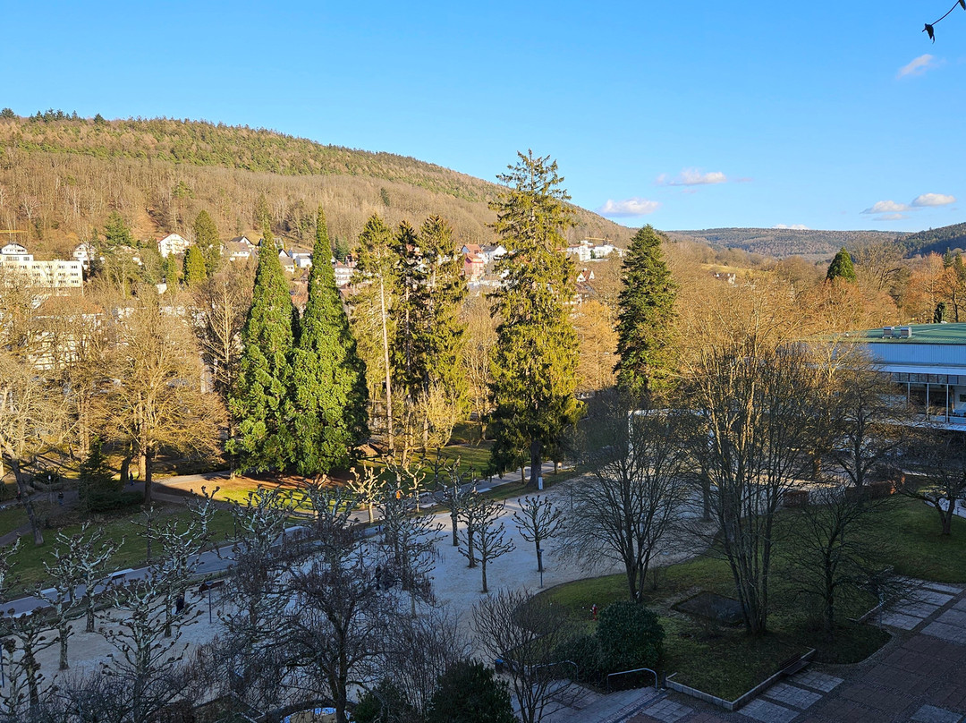 德尔特尔姆酒店主图