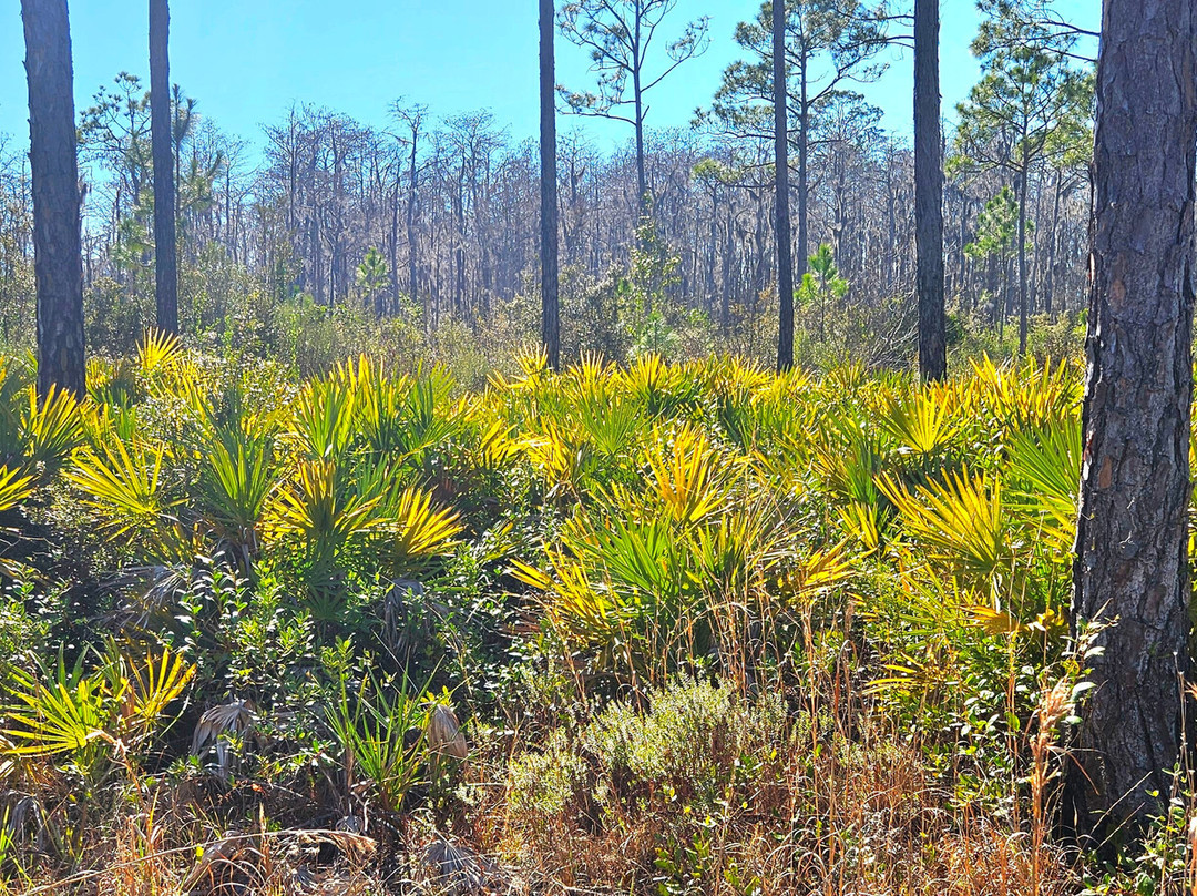 Conservation Park-巴拿马城海滩必去景点