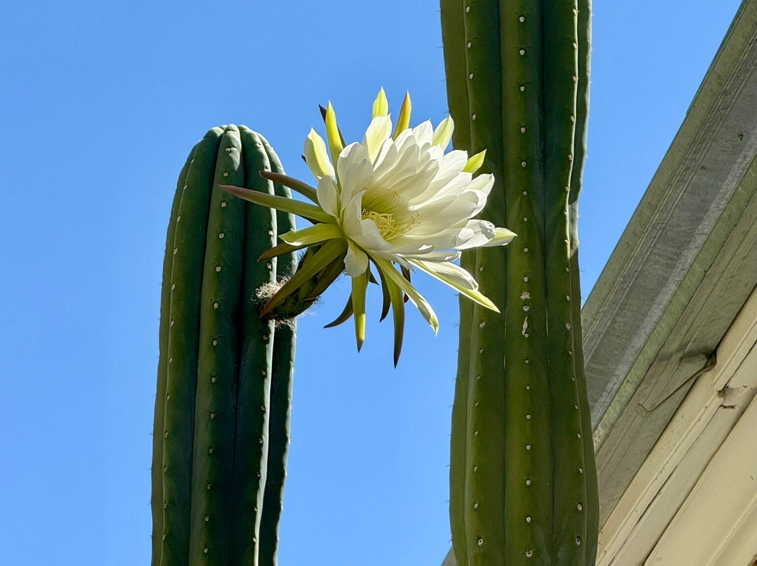 Hotel El Milagro主图