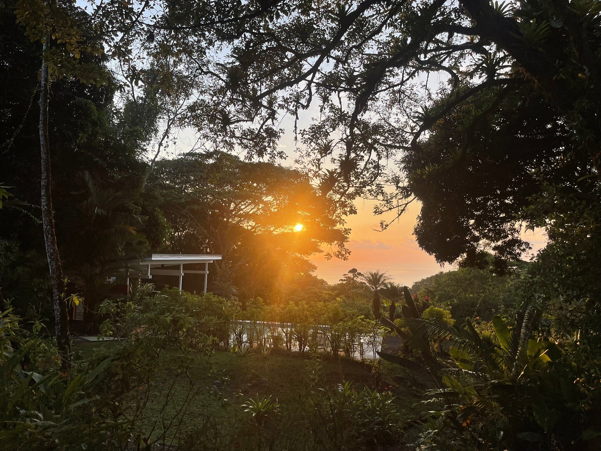 Tree of Life Cabinas-官方