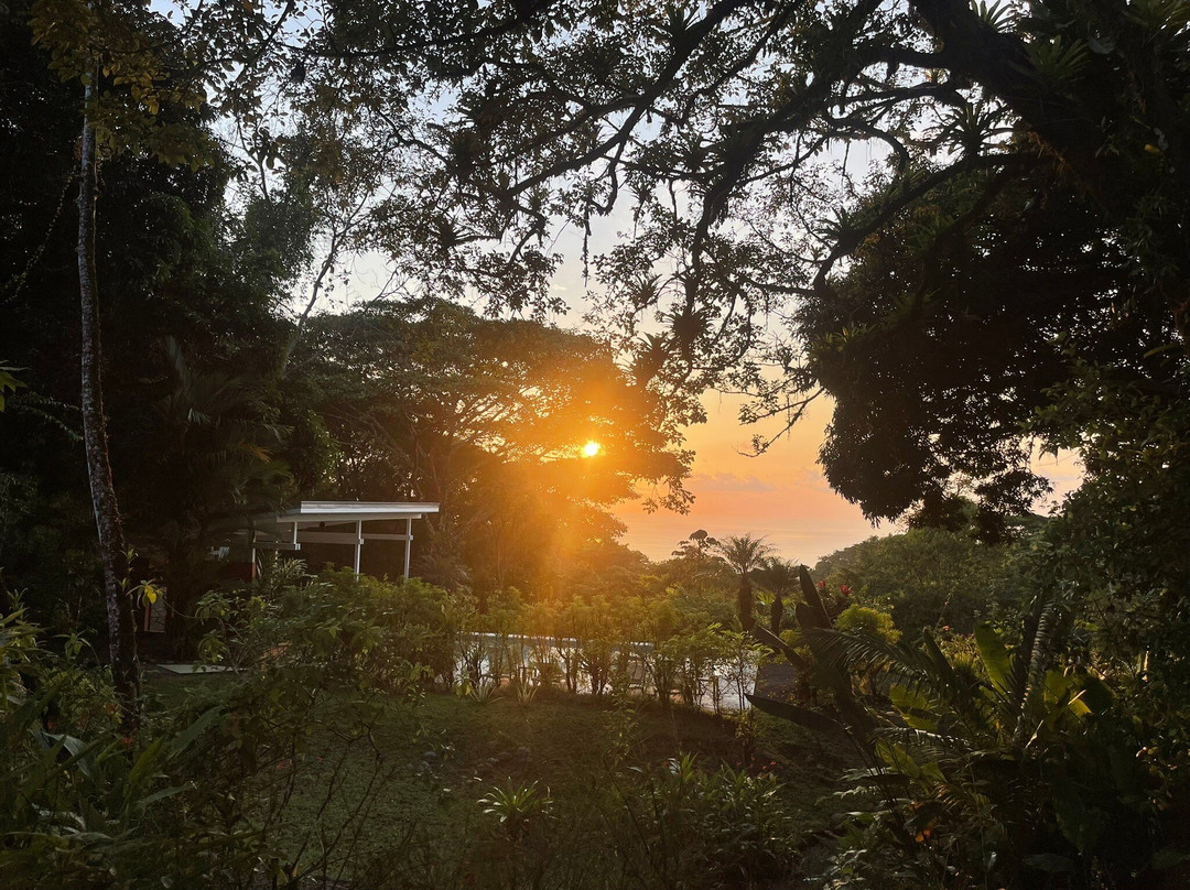 Tree of Life Cabinas主图