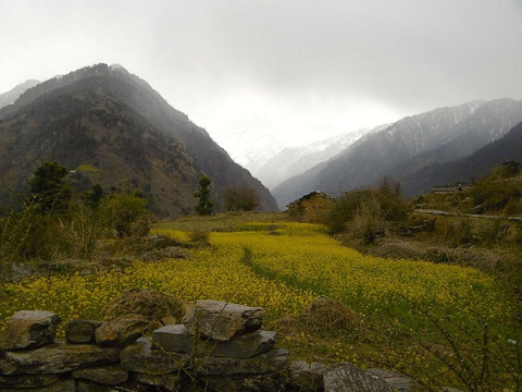 Iron Horses Adventures-里希克虚必去景点