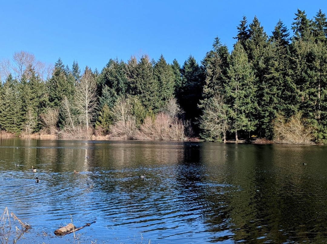 Bradley Lake Park景点图片