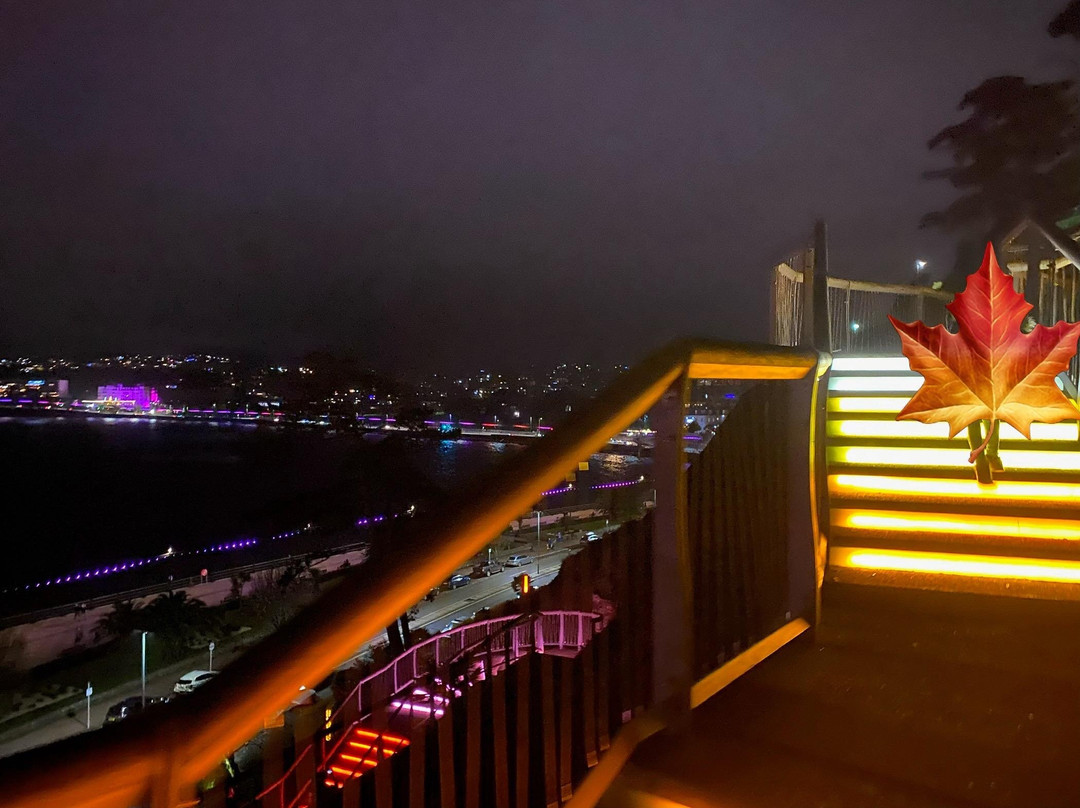 Torquay Front Beach-托基必去景点