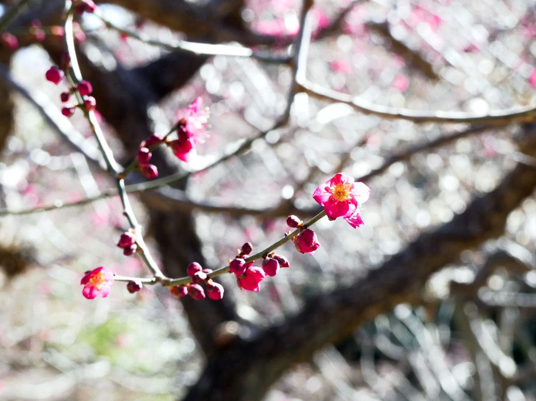 Higashiyamatominami Park