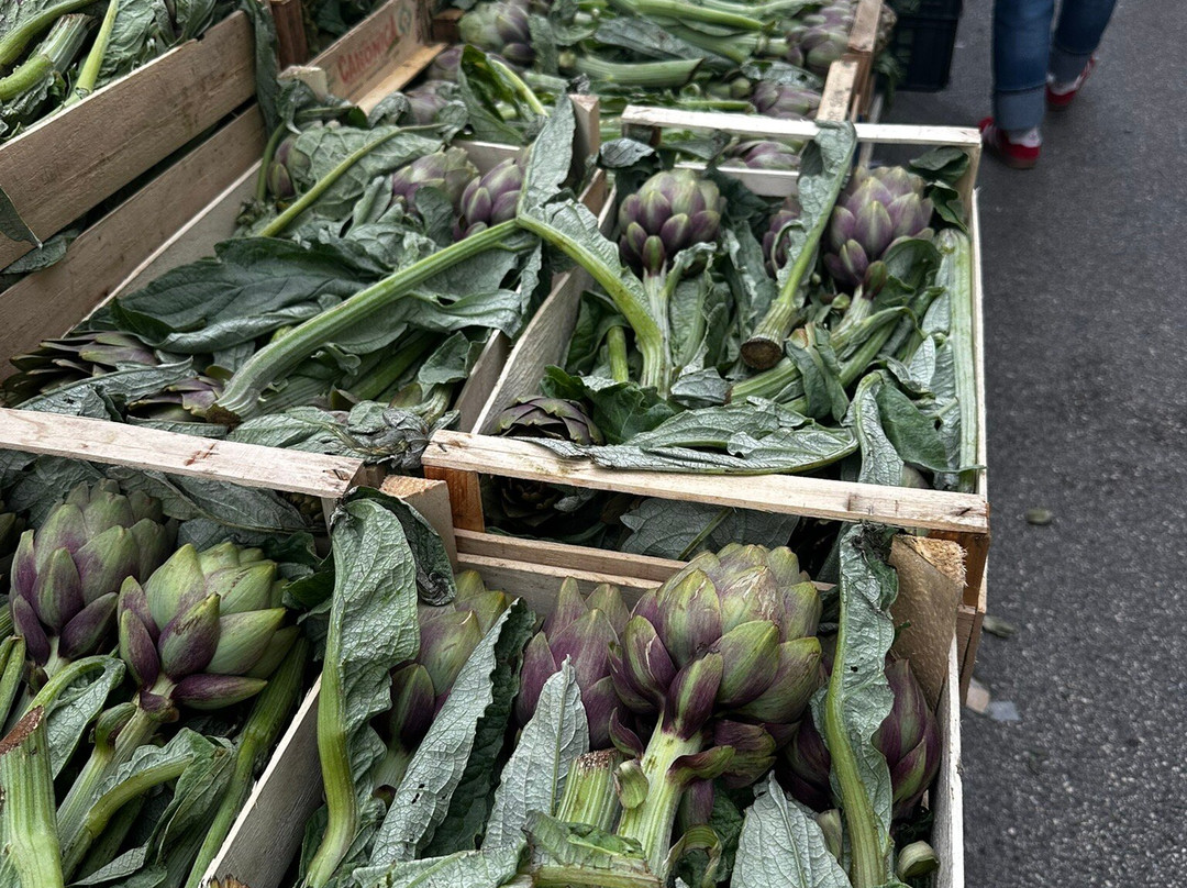 Mercato del Sabato-奥斯图尼必去景点