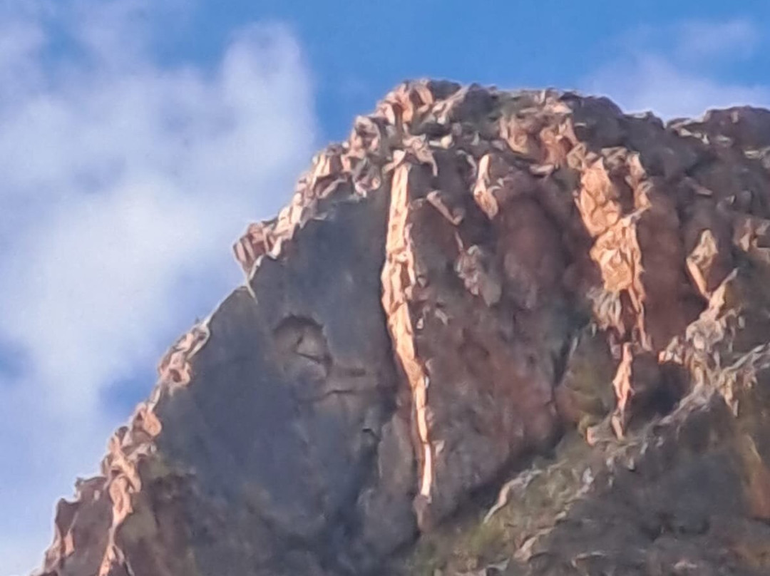 John's Tours-Prince Albert必去景点