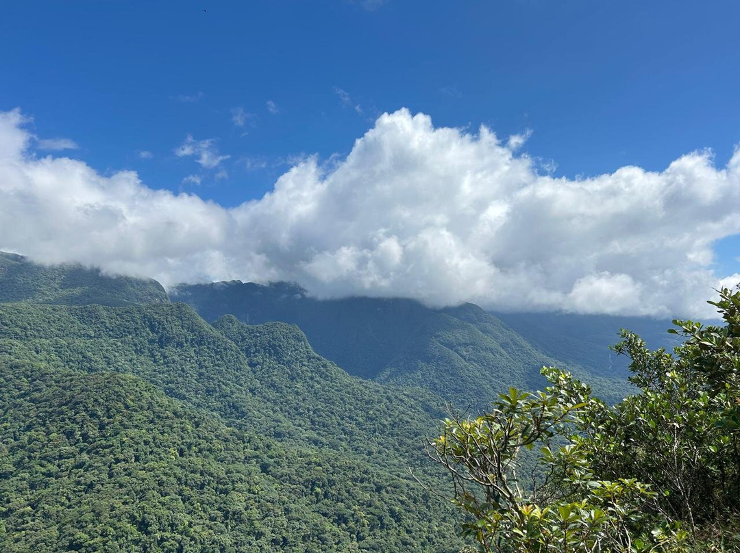 Pico do Marumbi State Park景点图片