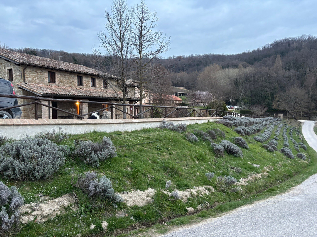 Agriturismo Le Case - Residenza Di Campagna主图