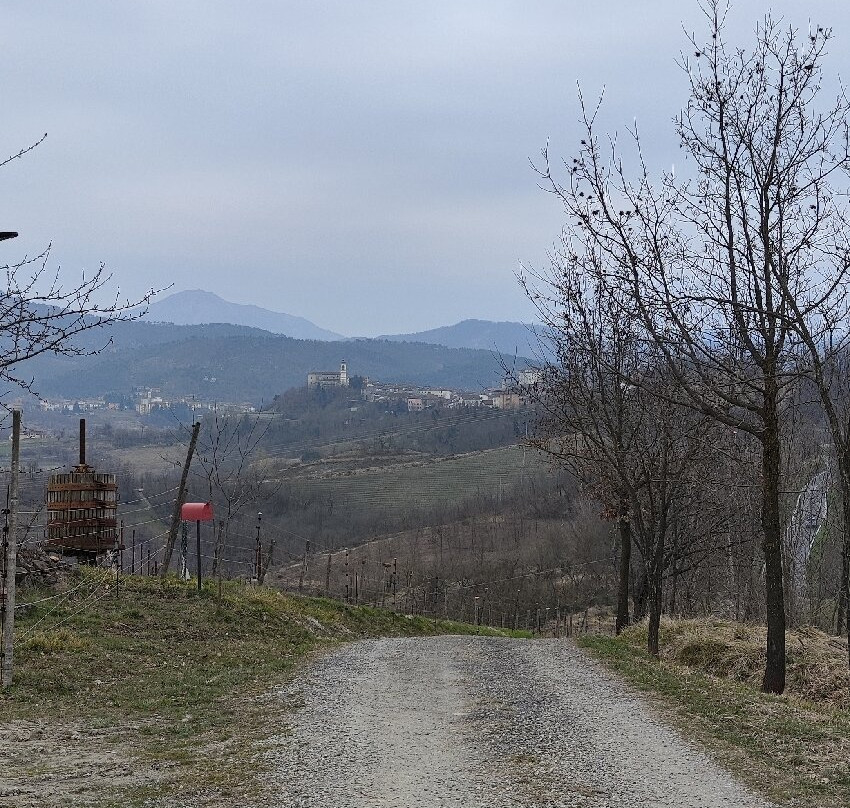 Azienda Agricola Cascina Belvedere 1932-Mornese必去景点
