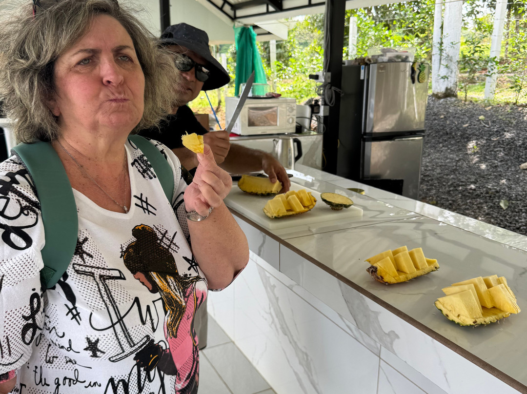 The Best Pineapple Tour Costa Rica景点图片