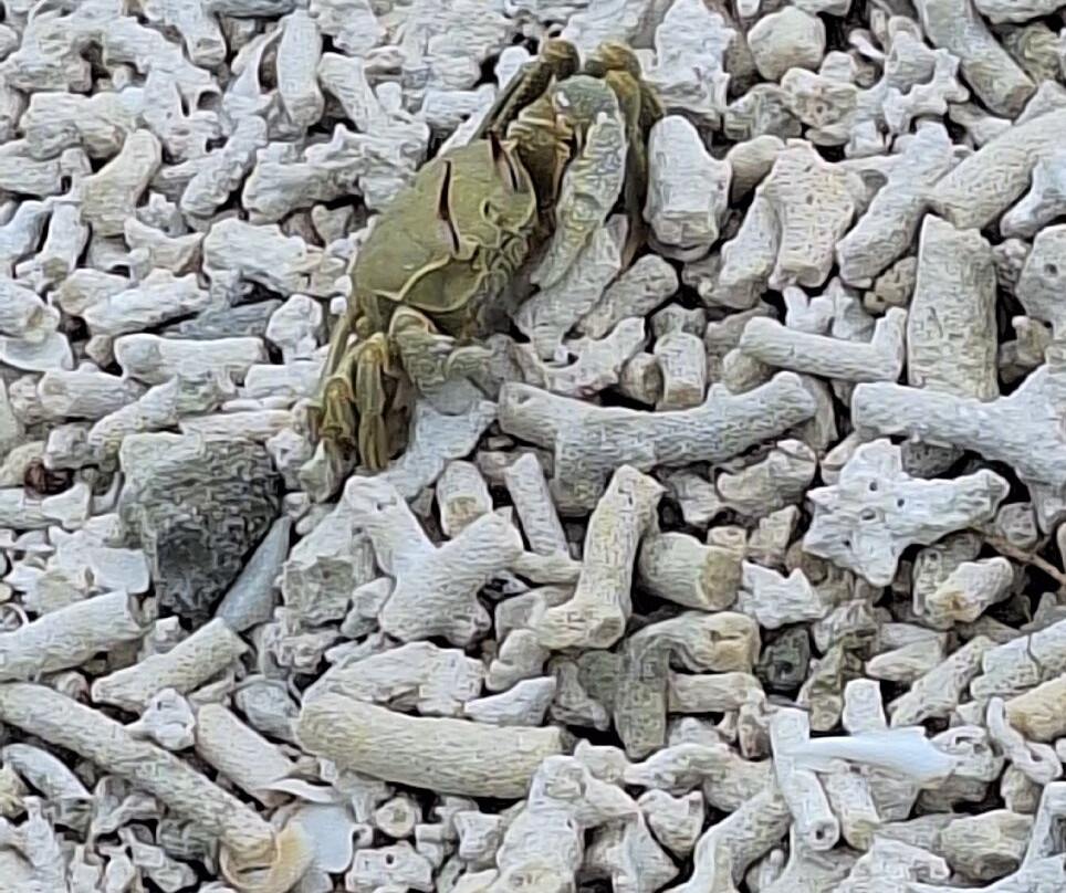 Ambassador Spa & Beauty Salon-伊斯坦布尔必去景点