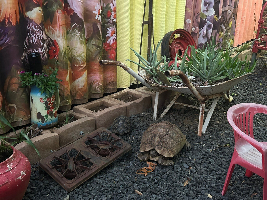 Tromp-op Boerekos Kombuis Restaurant