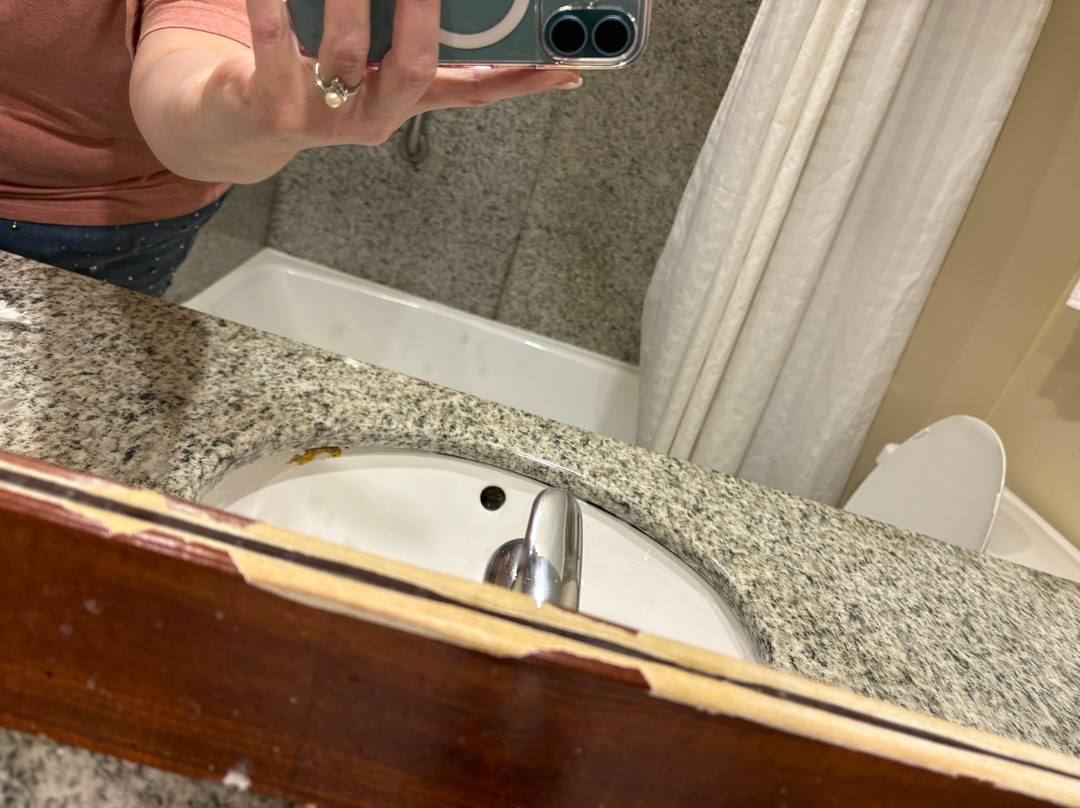 Comfort Inn & Suites主图