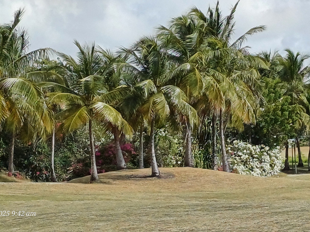 Barbados Golf Club-基督城必去景点