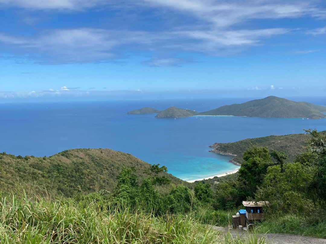 Long Bay Beach-托土拉必去景点