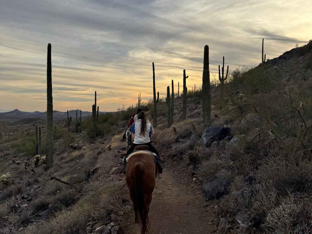 Cave Creek Trail Rides-洞溪必去景点