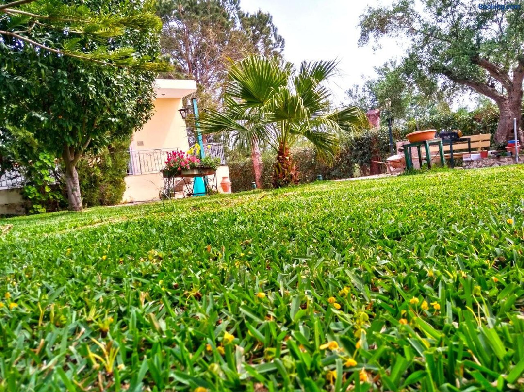 Theocharis Paradise