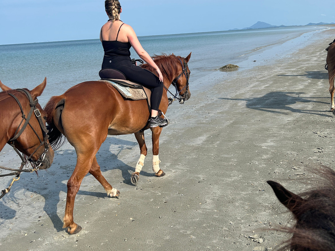 Pirates Bar Horse riding-兰塔岛必去景点
