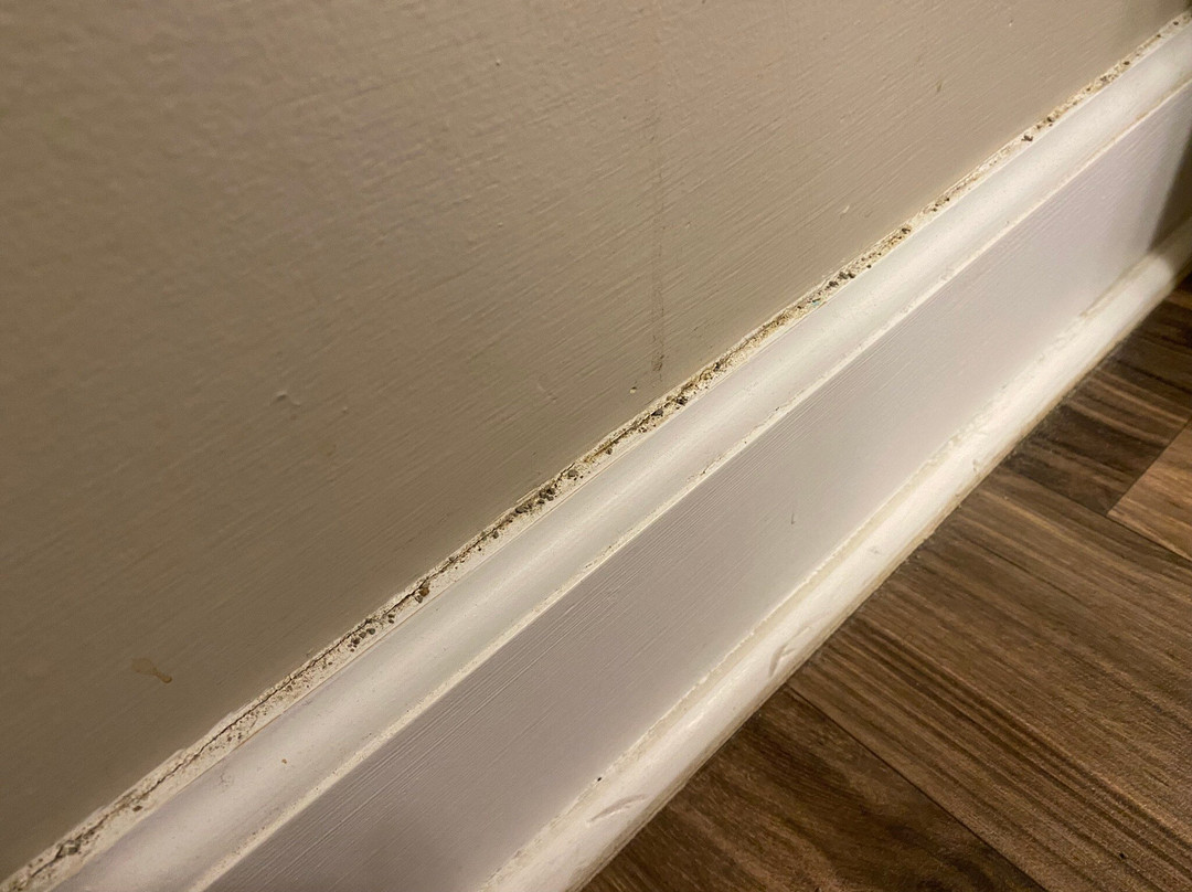 TownePlace Suites by Marriott Boulder Broomfield/Interlocken主图