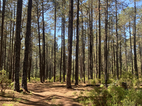 Tierraventura Ecoturismo-瓦哈卡必去景点