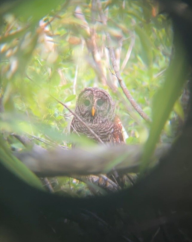 Tour The Glades - Private Wildlife Tours-大沼泽地必去景点