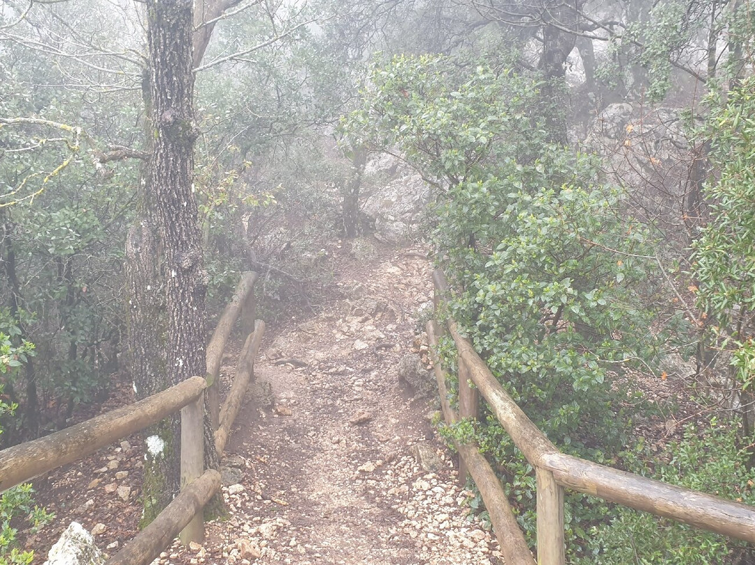 Sierra Del Menejador景点图片
