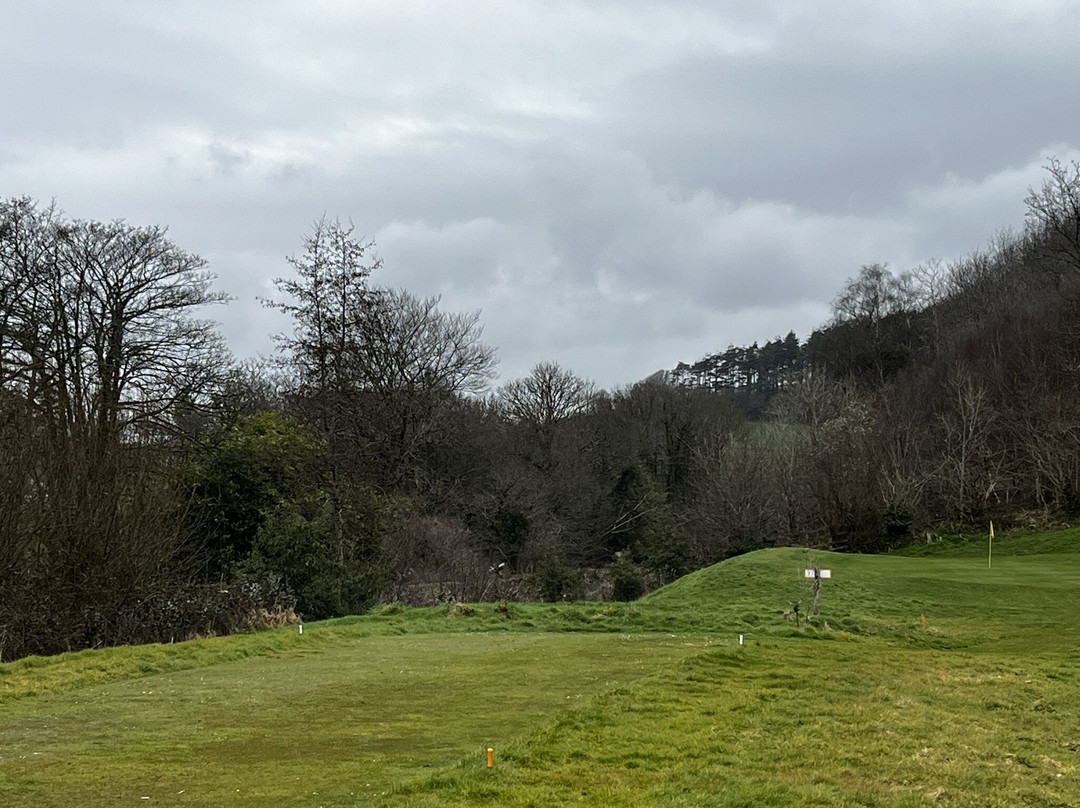 Gillyflower Golf-Lostwithiel必去景点