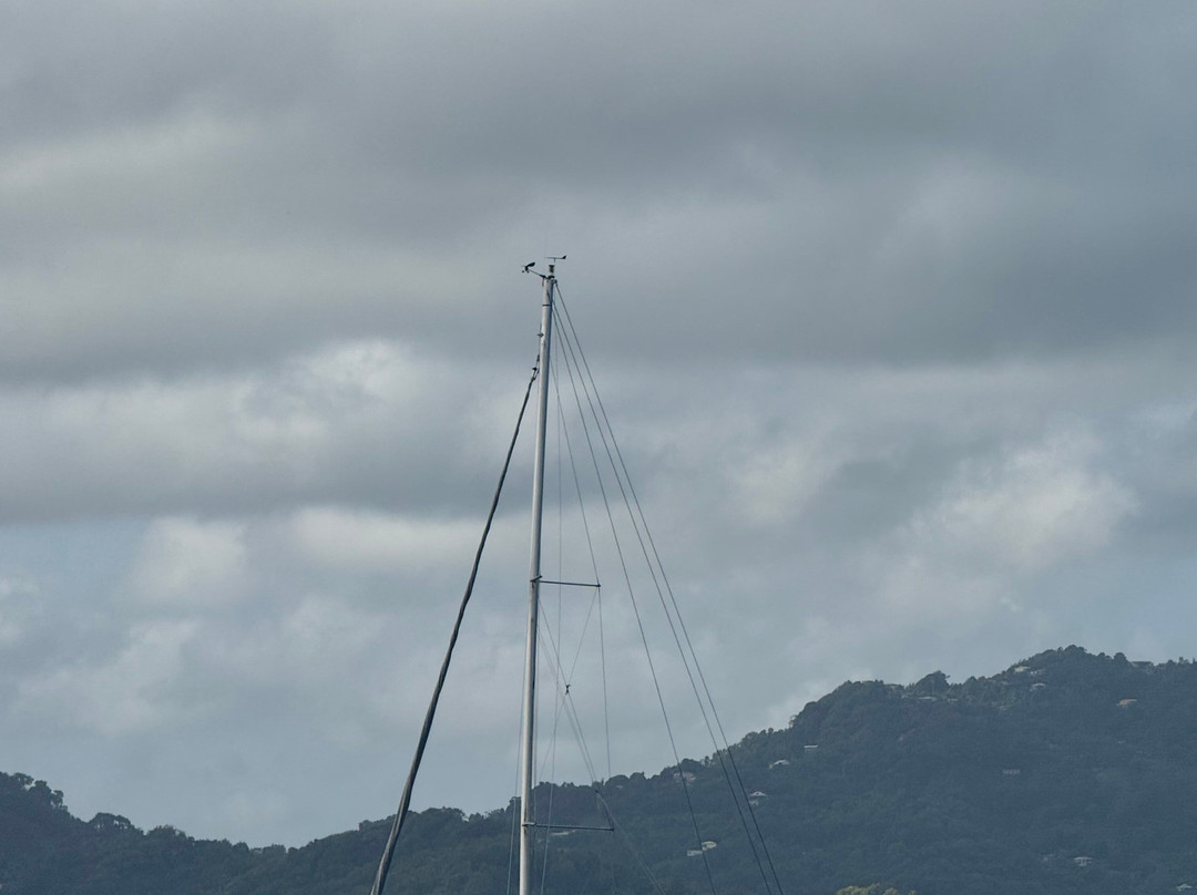 Dénébola Les Plaisirs Nautiques-Le Robert必去景点