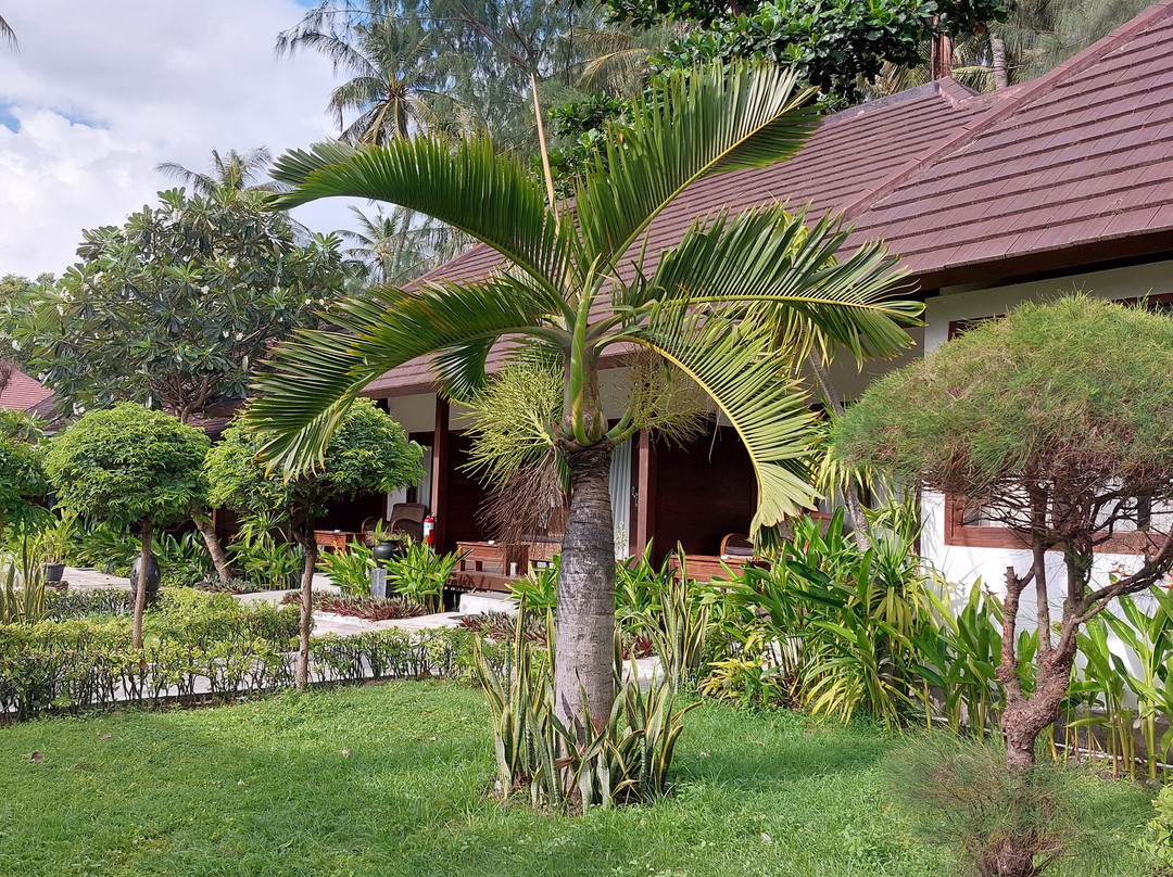 珊瑚别墅酒店及餐厅主图