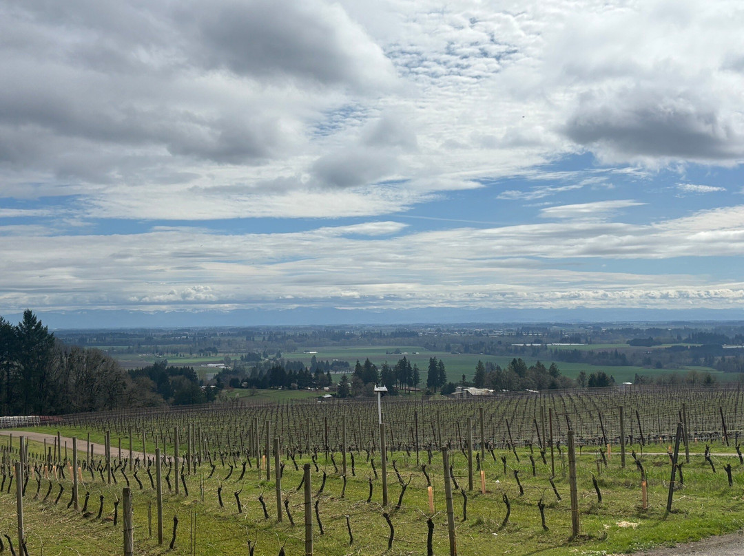 Durant Winery-Dundee必去景点