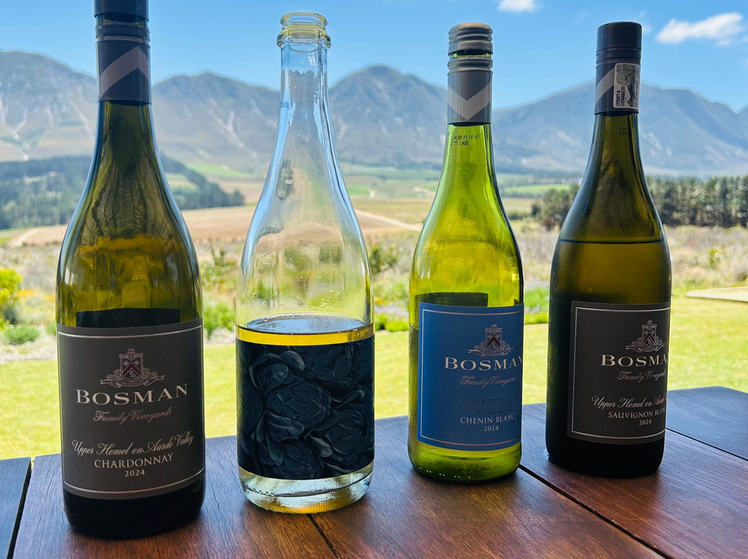 Bosman Hermanus | Frame House-赫曼努斯必去景点