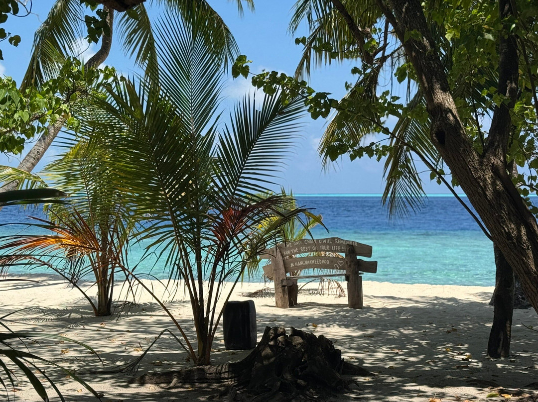 Local Travel Beach主图