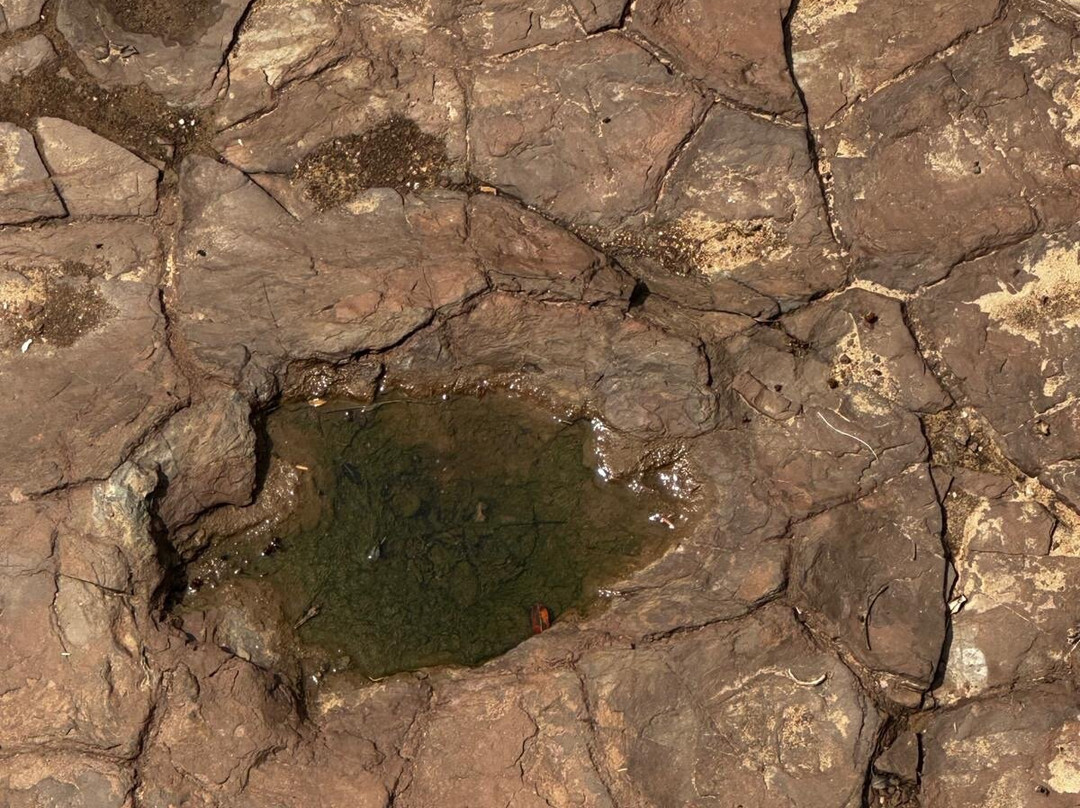 Valley of the Dinosaurs-Sousa必去景点