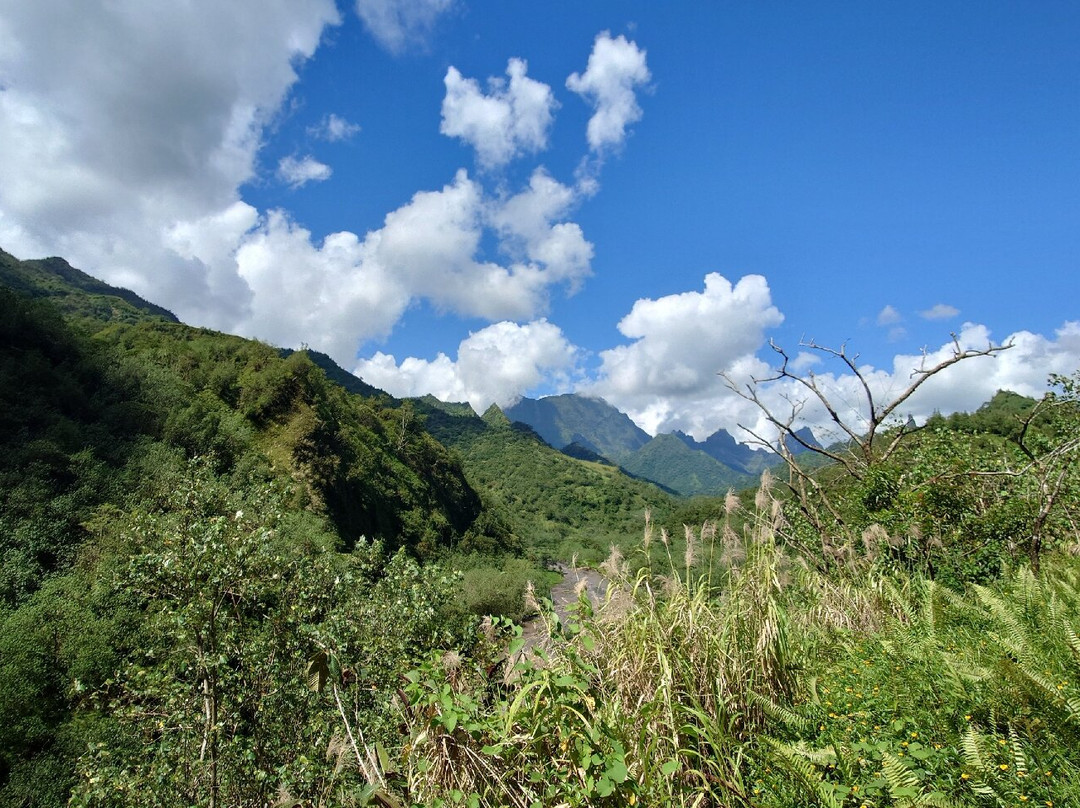Tetapua Quad Tahiti ATV景点图片