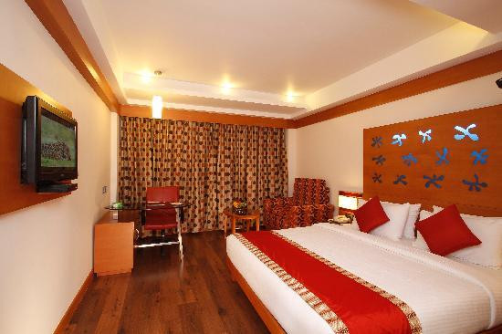 Hotel Indraprastha主图