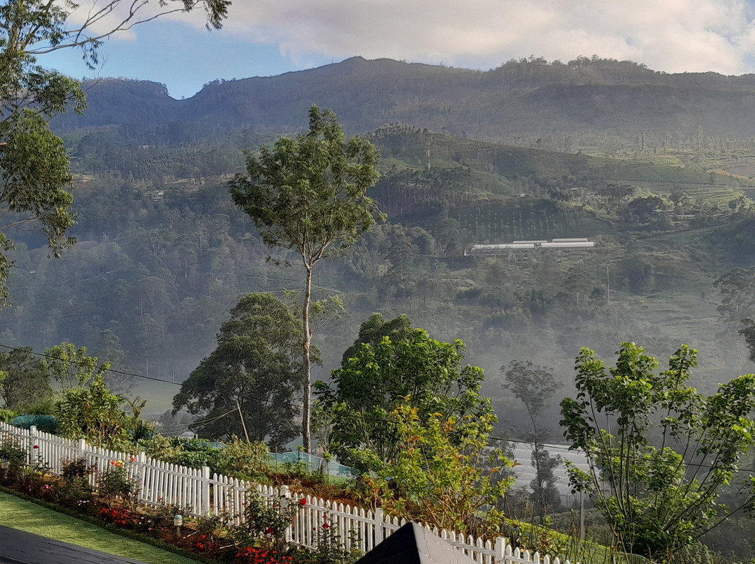 阿马亚兰达乐酒店主图