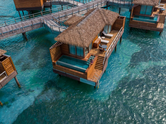 Princess Senses The Mangrove