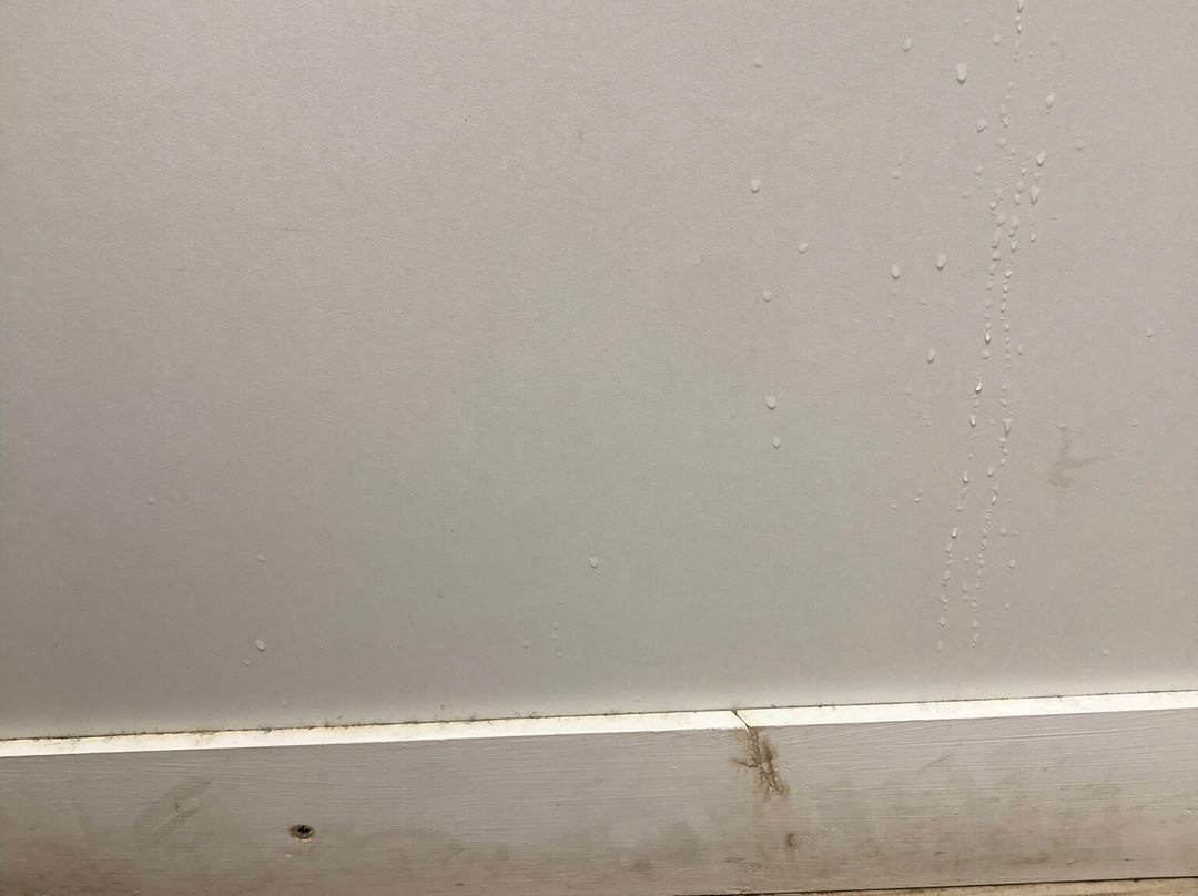 Cit'Hotel le Welcome主图