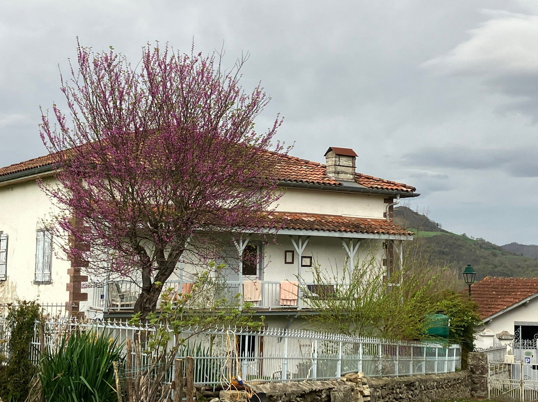 Maison D'hotes Larraldia
