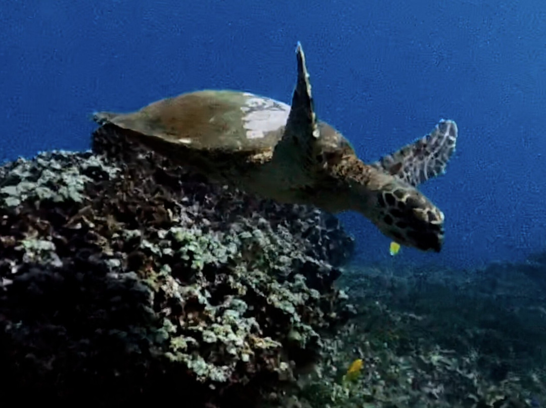 Lipah Beach-Bunutan必去景点