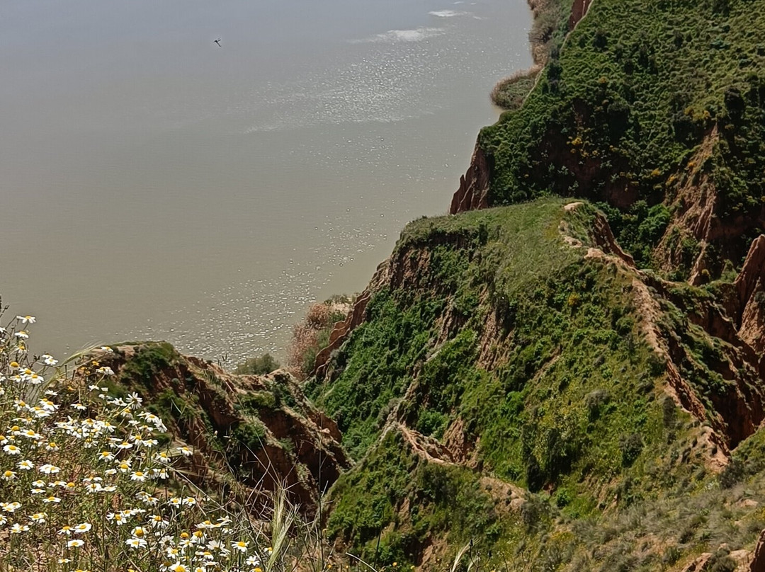 Barrancas De Burujón-Burujon必去景点