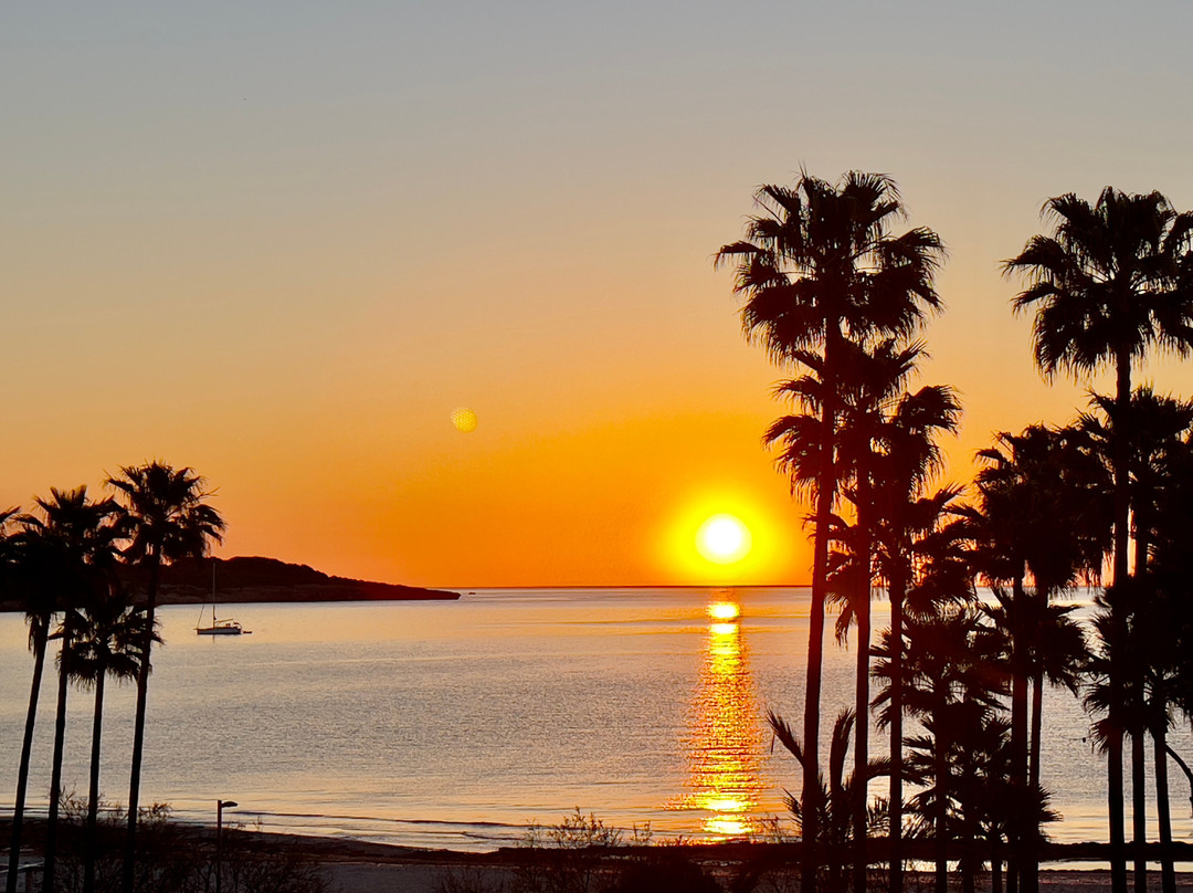 Hipotels Mediterráneo Hotel主图