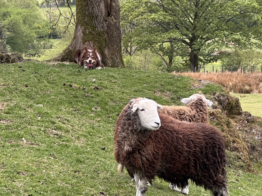Cragg House Farm-Buttermere必去景点